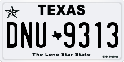 TX license plate DNU9313