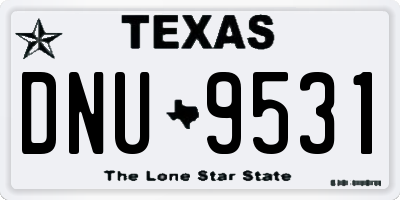 TX license plate DNU9531