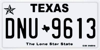 TX license plate DNU9613