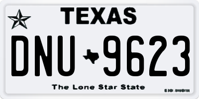 TX license plate DNU9623