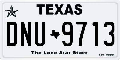 TX license plate DNU9713