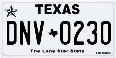 TX license plate DNV0230