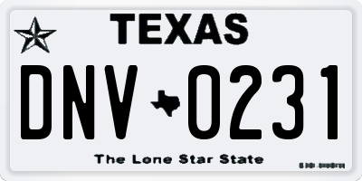 TX license plate DNV0231