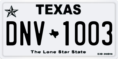 TX license plate DNV1003