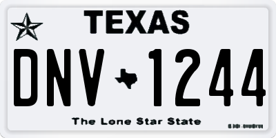 TX license plate DNV1244