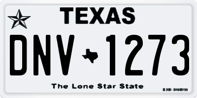 TX license plate DNV1273