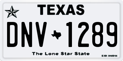 TX license plate DNV1289