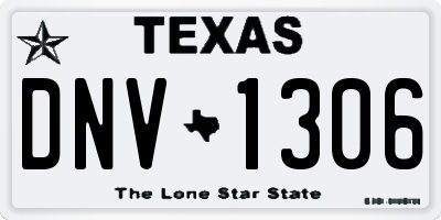 TX license plate DNV1306