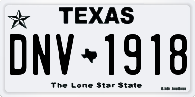TX license plate DNV1918