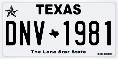 TX license plate DNV1981