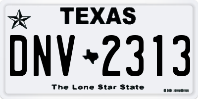 TX license plate DNV2313