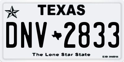 TX license plate DNV2833