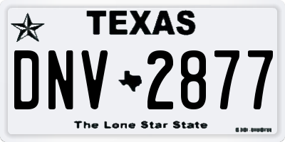TX license plate DNV2877