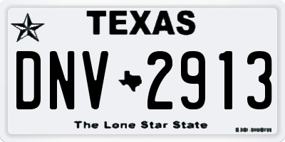TX license plate DNV2913