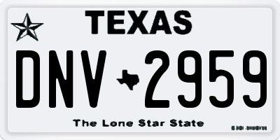 TX license plate DNV2959