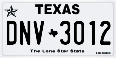 TX license plate DNV3012
