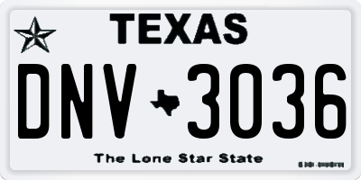 TX license plate DNV3036