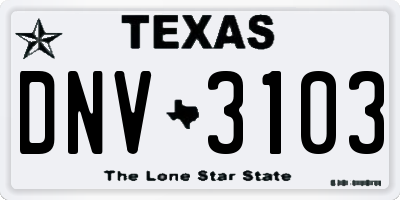 TX license plate DNV3103