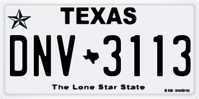 TX license plate DNV3113