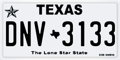 TX license plate DNV3133