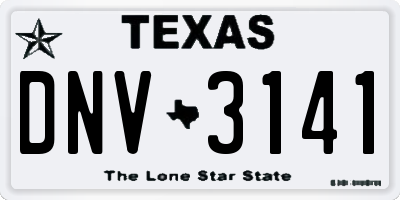 TX license plate DNV3141