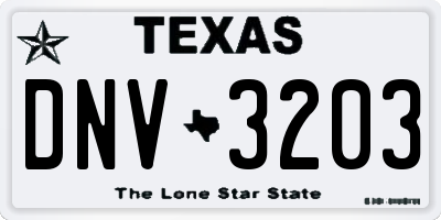 TX license plate DNV3203