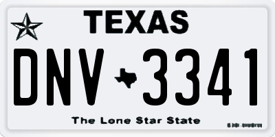 TX license plate DNV3341