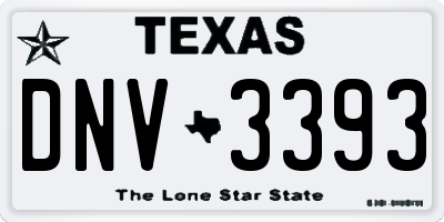 TX license plate DNV3393