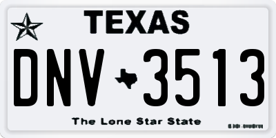 TX license plate DNV3513