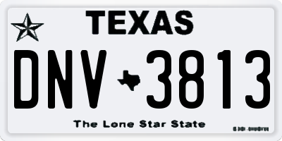 TX license plate DNV3813