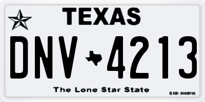 TX license plate DNV4213