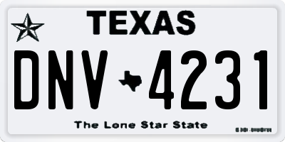 TX license plate DNV4231