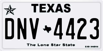 TX license plate DNV4423