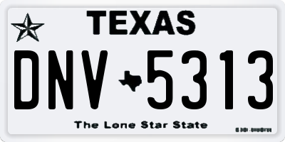 TX license plate DNV5313