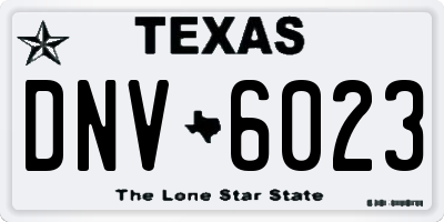 TX license plate DNV6023