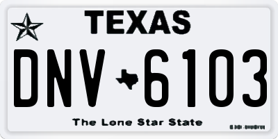 TX license plate DNV6103