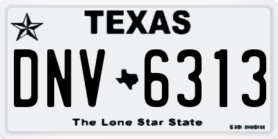 TX license plate DNV6313