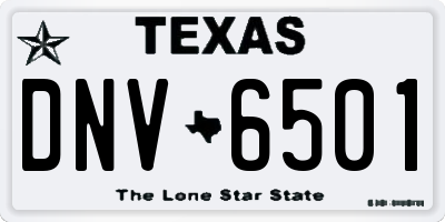 TX license plate DNV6501
