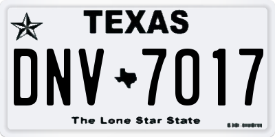 TX license plate DNV7017