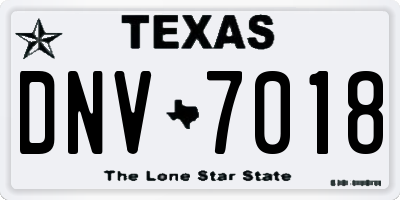 TX license plate DNV7018
