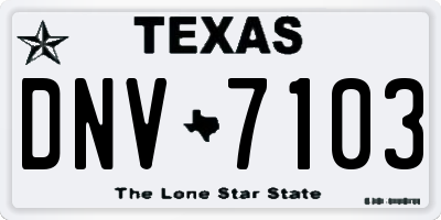 TX license plate DNV7103
