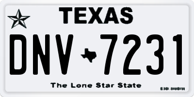 TX license plate DNV7231