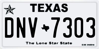 TX license plate DNV7303