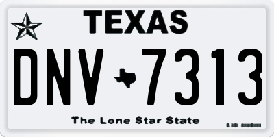 TX license plate DNV7313