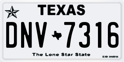 TX license plate DNV7316
