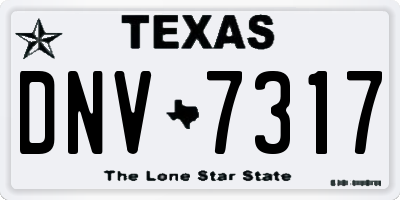 TX license plate DNV7317