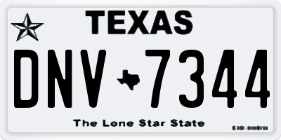TX license plate DNV7344