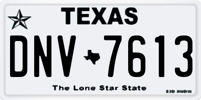TX license plate DNV7613