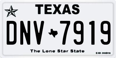 TX license plate DNV7919