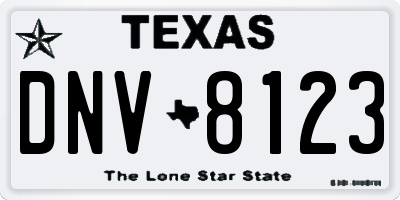 TX license plate DNV8123